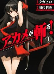 akame-ga-kill-67